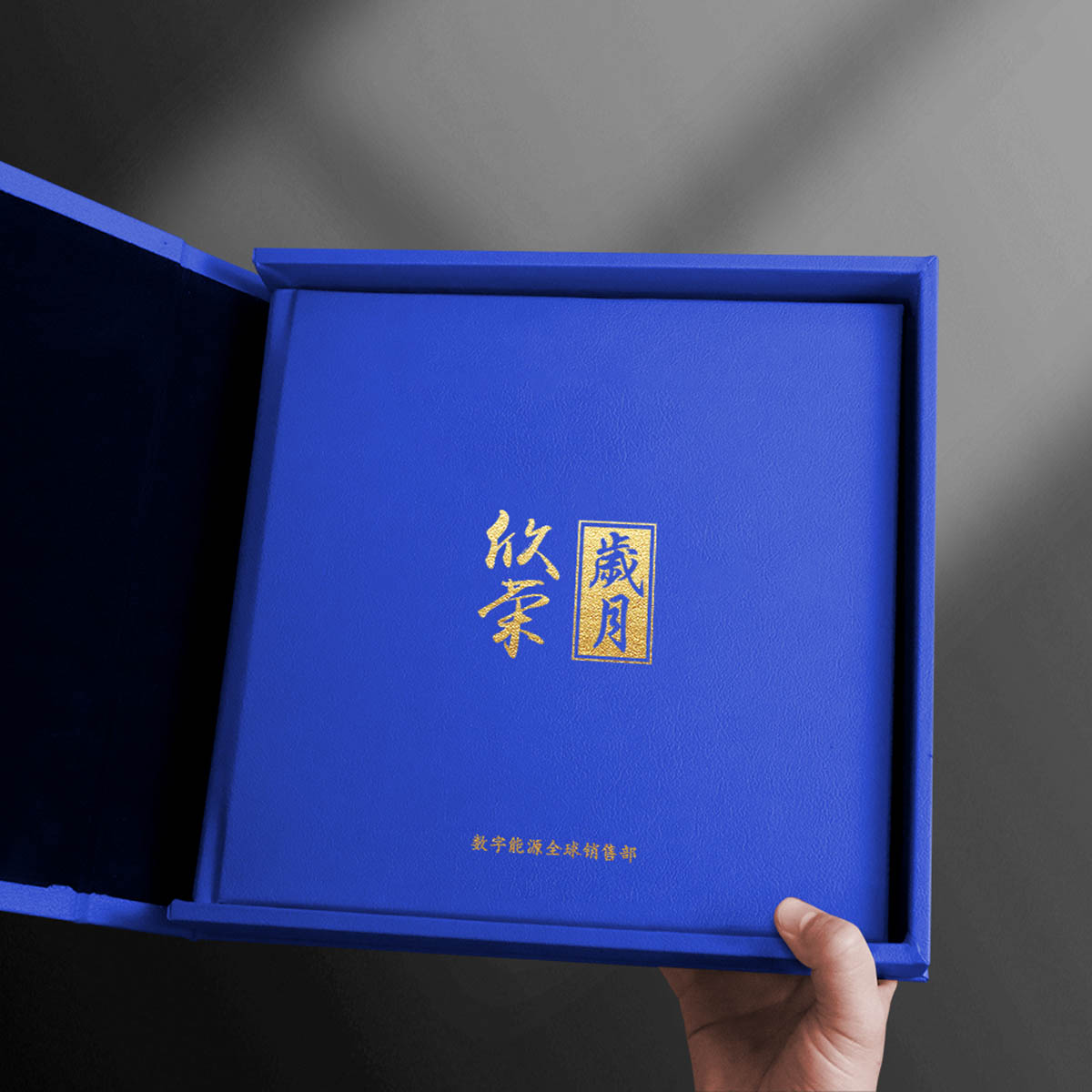 数字能源销售部领导蓝色（3人1P）