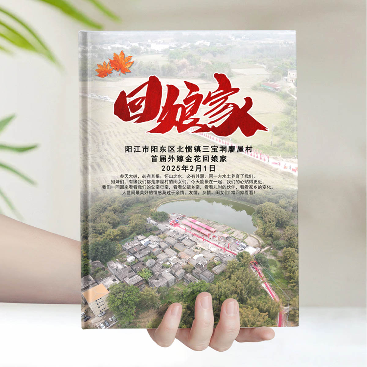 回娘家红色三宝桐廖屋村