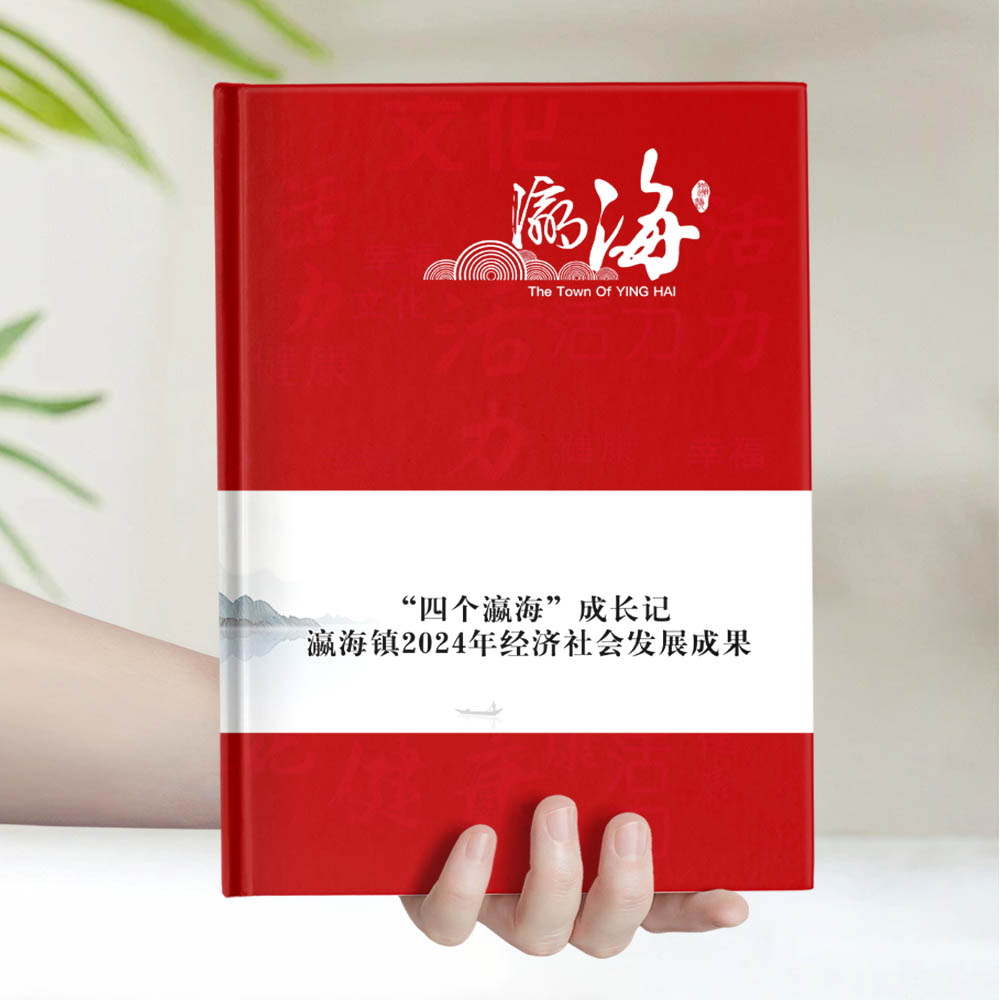 瀛海镇经济社会发展成果